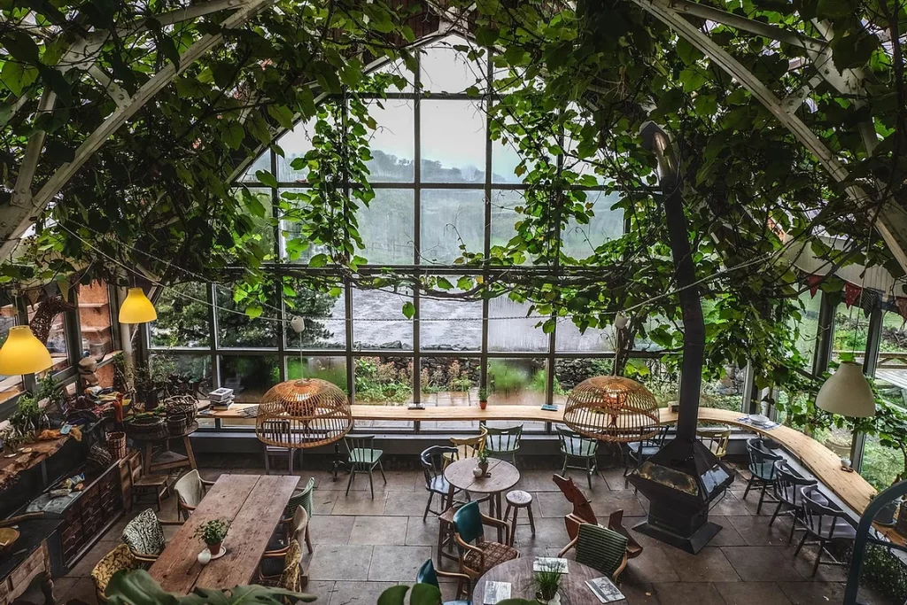 Cheesemaking on Mull - Glass Barn Cafe